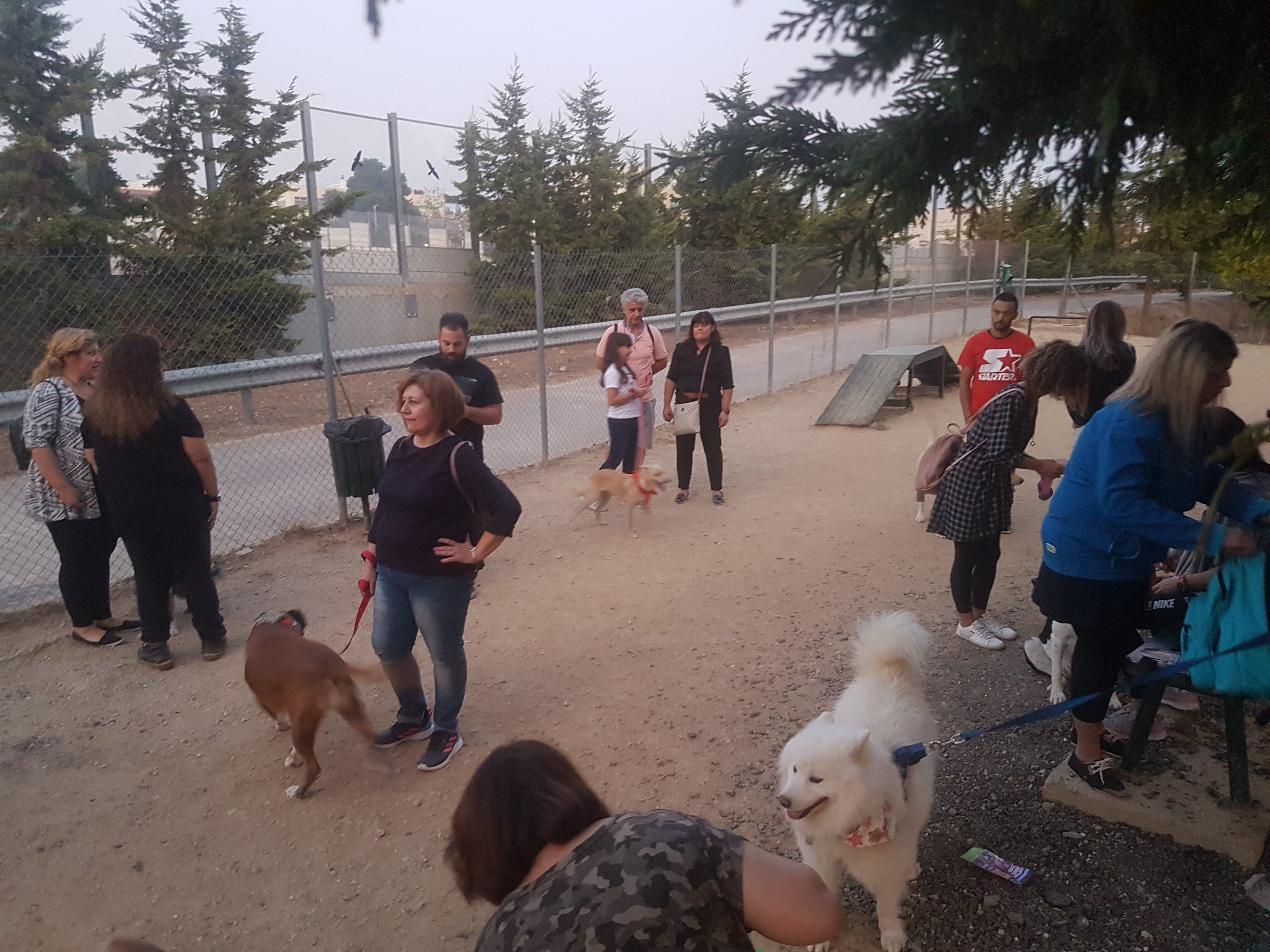 Παιχνίδι, ενημέρωση και δράσεις στην γιορτή για τα ζώα του Δήμου Ηρακλείου Αττικής 