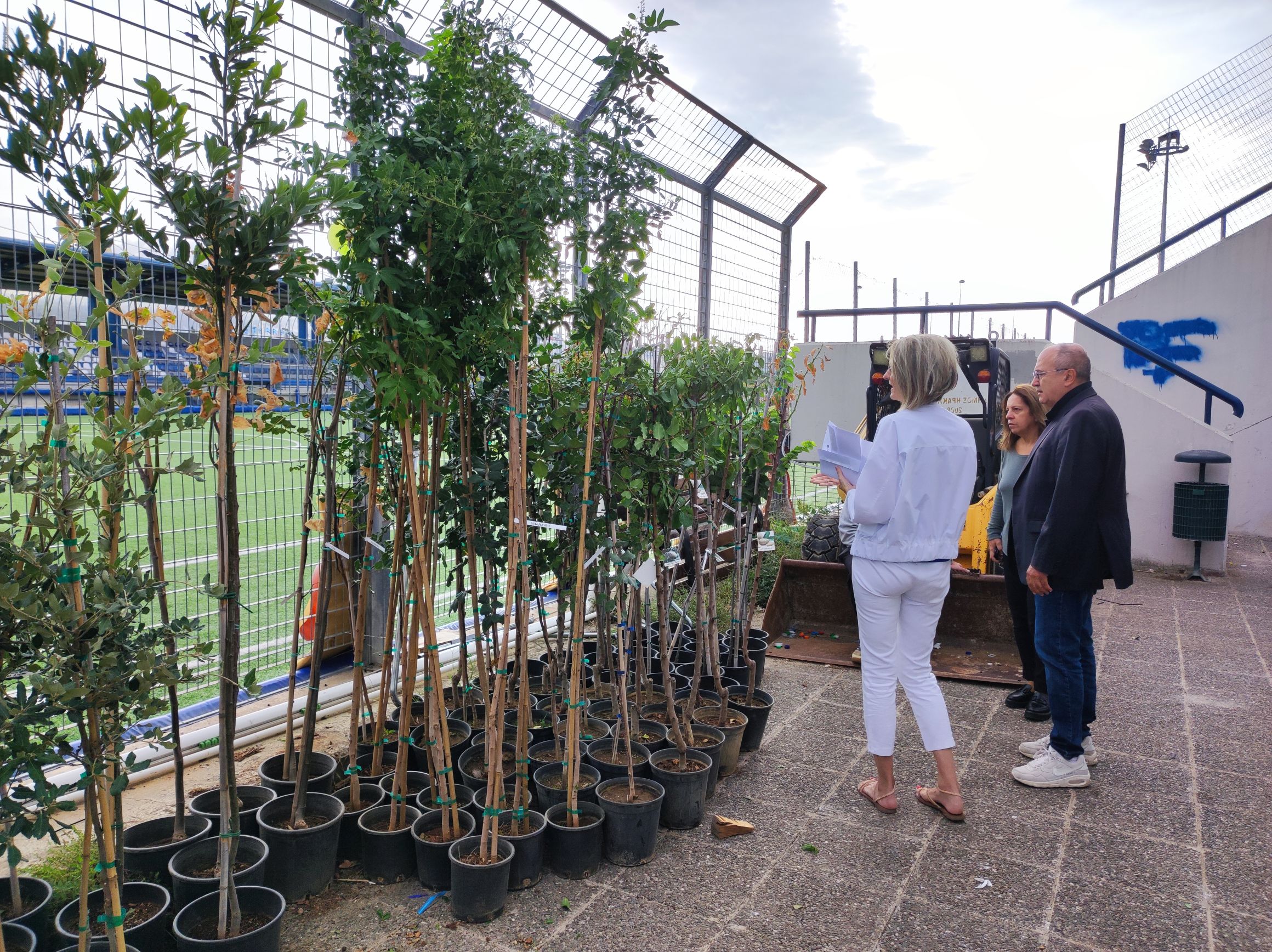 Δήμος και Γεωπονικό Πανεπιστήμιο συνεργάζονται για την ανανέωση του πρασίνου της πόλης