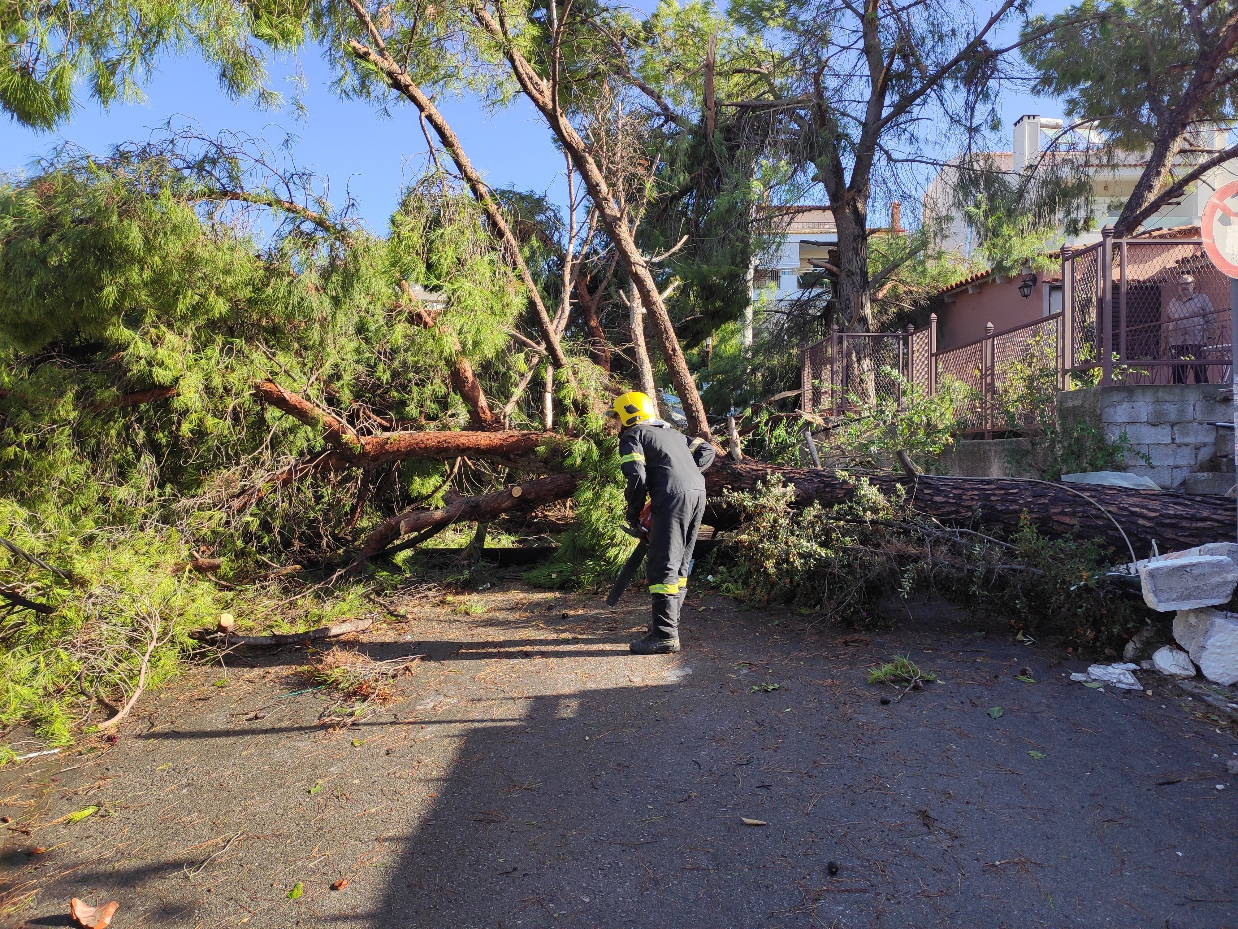 Ο Δήμος Ηρακλείου Αττικής έκανε όλες τις κινήσεις για τις αποζημιώσεις από τον ανεμοστρόβιλο – Απόδειξη η αίτηση της Περιφέρειας προς το Υπουργείο για οριοθέτηση