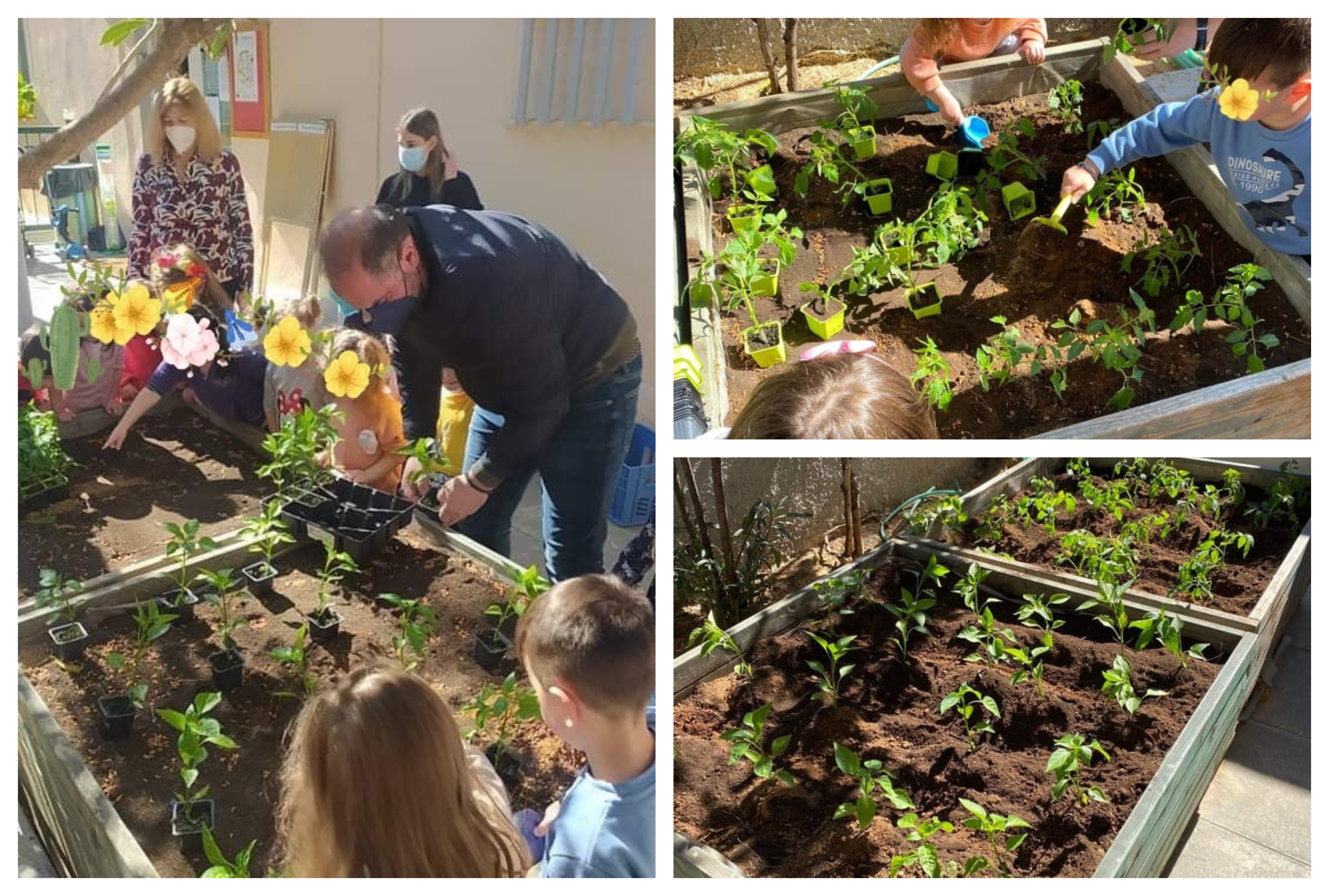 Νέους λαχανόκηπους σε ακόμα περισσότερα σχολεία της πόλης δημιούργησε ο Δήμος Ηρακλείου Αττικής: Τα παιδιά μαθαίνουν την αξία της φύσης και της υγιεινής διατροφής