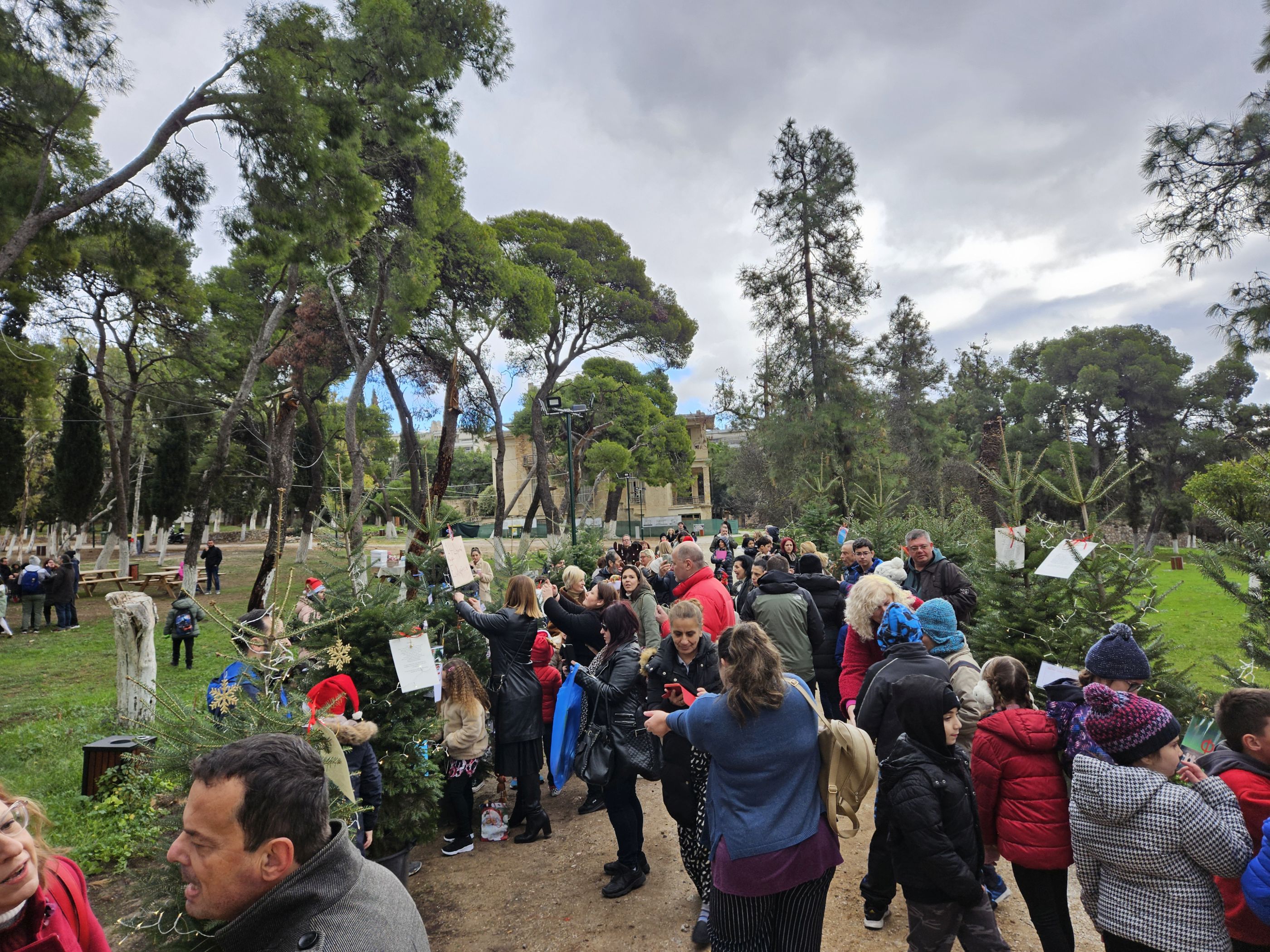 Το Κτήμα Φιξ γέμισε χριστουγεννιάτικα δέντρα: Δήμος και μαθητές στόλισαν χριστουγεννιάτικα έλατα σε μια όμορφη γιορτινή ημέρα