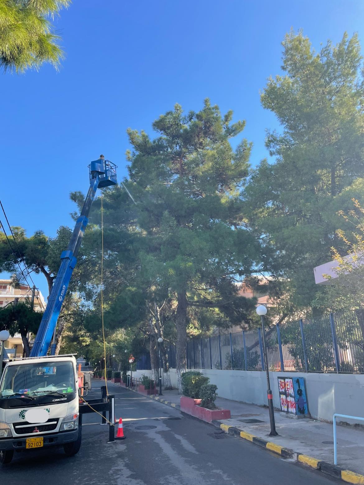 Παρεμβάσεις για τον περιορισμό του πληθυσμού της κάμπιας πραγματοποιεί ο Δήμος Ηρακλείου Αττικής