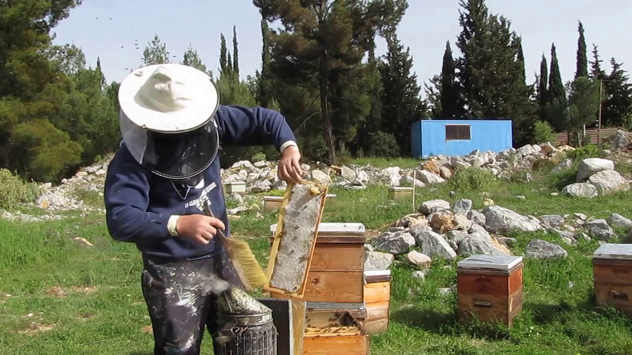 Ανακοίνωση για μελισσοκόμους